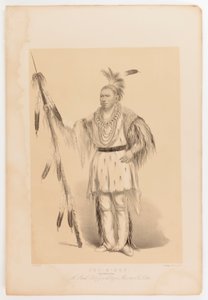 Joc-o-sot, de wandelende beer door George Catlin