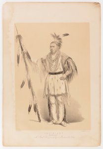 Joc-o-sot, de wandelende beer door George Catlin