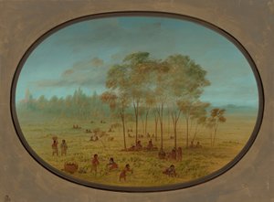 Kiowa Indianen verzamelen wilde druiven, 1861-1869 door George Catlin