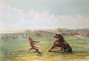 Osage jagers die wilde paarden vangen