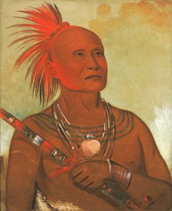 Pam-a-hó, de zwemmer, een van de krijgers van Zwarte Havik door George Catlin