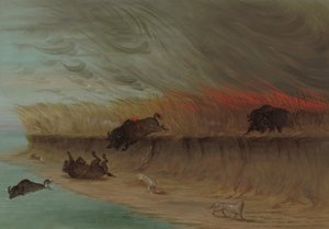 Brandende prairievelden, 1861-1869 door George Catlin