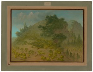 Rhododendronberg door George Catlin