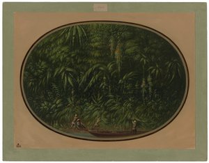 Kust van de Trombetas door George Catlin
