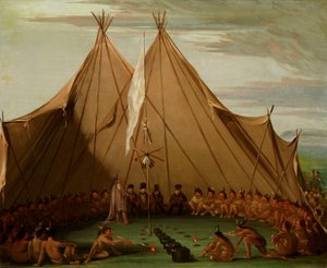 Sioux Hondenvoer