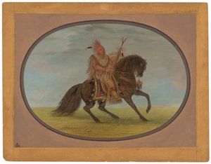 De rennende vos op een mooi paard - Saukie