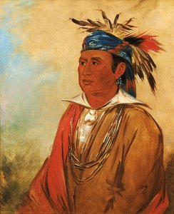 Wah-pón-jee-a, De Zwaan, een krijger door George Catlin