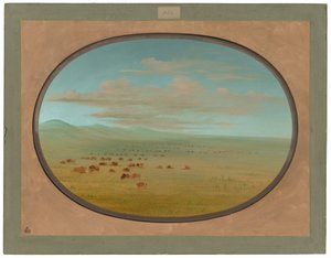 Wilde runderen grazen op de Pampa del Sacramento door George Catlin