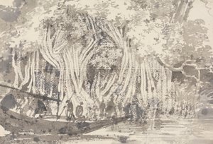 Een Pipul-boom door George Chinnery