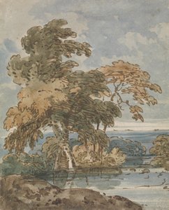 Bomen bij een Rivier