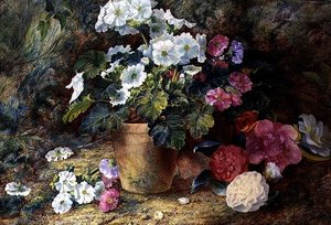 Stilleven van pelargoniums in een pot met camelia