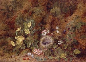 Stilleven met Vogelnest en Wilde Bloemen door George Clare