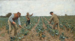 Het land bewerken