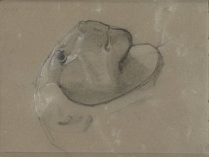 Leeuwenkop, vermoedelijk naar een beeldhouwwerk door George Clausen