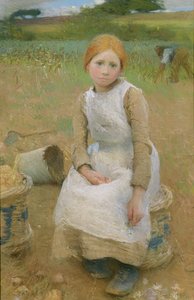 Kleine Roos, 1889