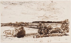 Winderig landschap
