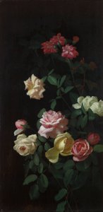Rozen