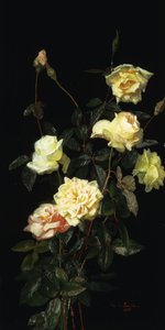 Rozen, 1878