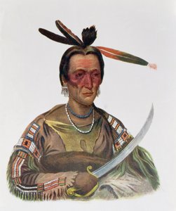 To-Ka-Cou, een Yankton Sioux Hoofd, 1837, illustratie uit 