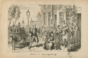 Mei - alles groeit door George Cruikshank
