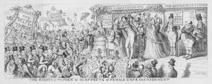 "De rechten van vrouwen" of de effecten van vrouwelijke emancipatie