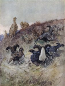 Illustratie voor The Story of a Red Deer (kleur litho) door George Denholm Armour