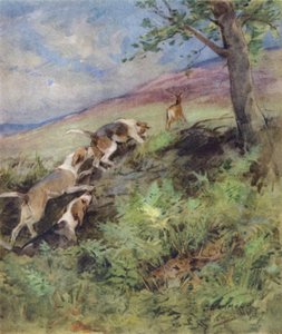 Illustratie voor The Story of a Red Deer door George Denholm Armour