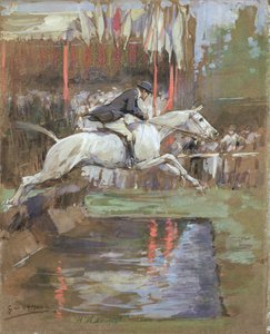 De Water Sprong