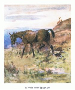 Het losgebroken paard