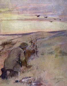 Wilde vogels: vlucht