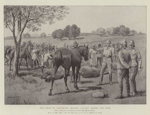 Het Beleg van Ladysmith, het doden van cavaleriepaarden voor voedsel