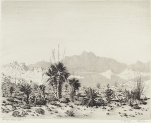 Een luchtspiegeling, Arizona