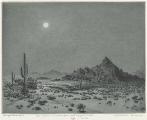 Arizona nacht door George Elbert Burr