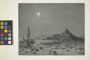 Arizona nacht door George Elbert Burr