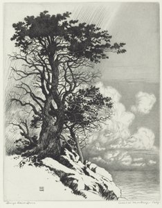 Kust bij Monterey, Californië door George Elbert Burr