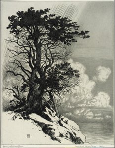 Kust bij Monterey, Californië door George Elbert Burr
