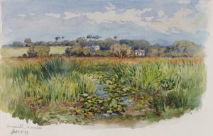 Criccieth, N Wales door George Elbert Burr