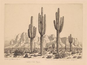 Woestijnwachters, Apache Trail, Arizona