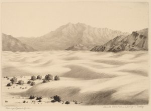 Duinen bij Palm Springs, Californië (nr.2)