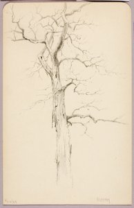 Hickory door George Elbert Burr