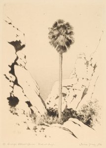 Palm Canyon (nr.1) door George Elbert Burr