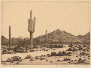 Weg naar Paradise Valley, Arizona