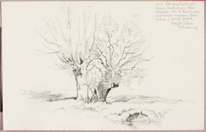 Roche Vaud door George Elbert Burr