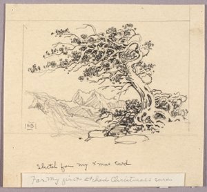 Schets voor kerstkaart (Windswept Pine [nr. 1])