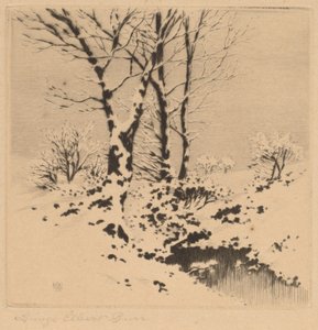 Sneeuw door George Elbert Burr