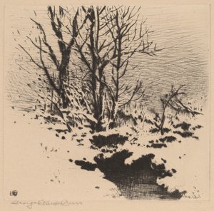 De Eerste Sneeuw (nr.2) door George Elbert Burr