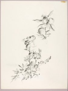 Zonder titel (Takken van appelboom) door George Elbert Burr