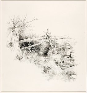 Zonder titel (Bosstroom)