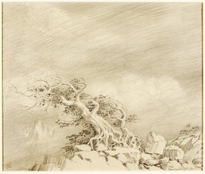 Zonder titel (transfer tekening voor Storm bij Timberline)