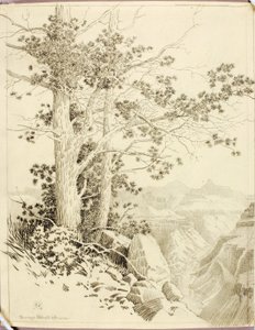 Zonder titel (overdrachtstekening voor druk) door George Elbert Burr